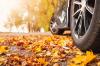Caution, autumn: top 9 tips for drivers that can save lives