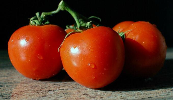 Tomatoes - tomatoes