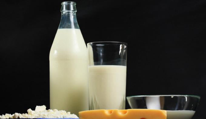 Dairy Products - dairy