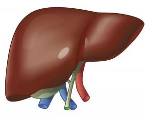 How to cleanse the liver at home